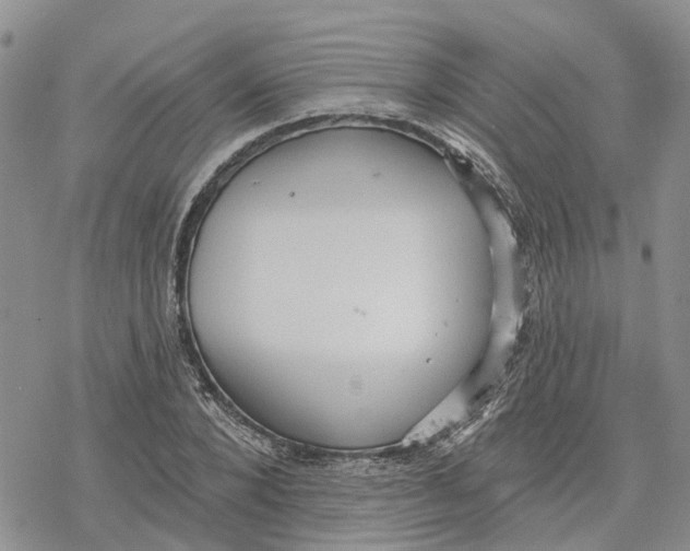 X0000078230880200611251211