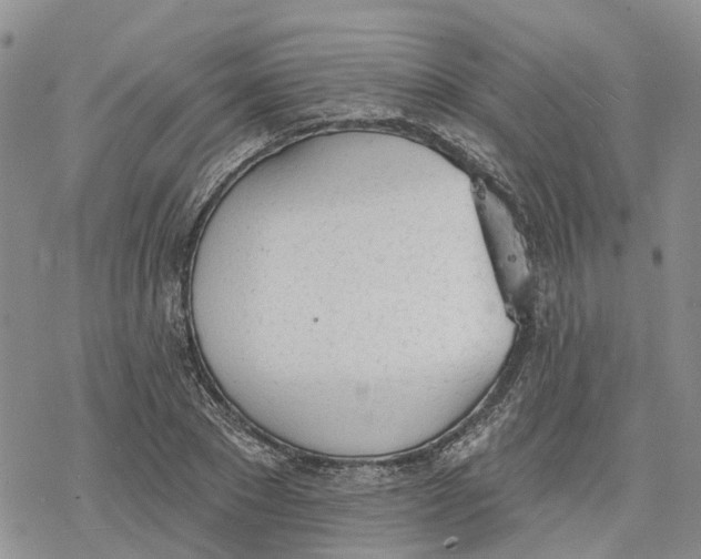 X0000078230881200611251211