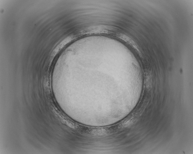 X0000078230882200611251211