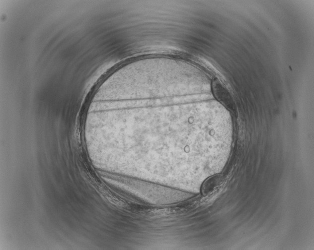 X0000078230883200611251211