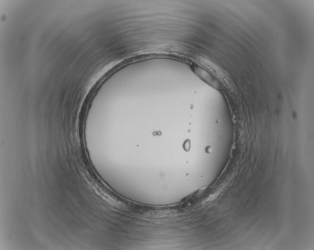 X0000078230884200611251211