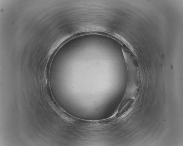 X0000078230885200611251211