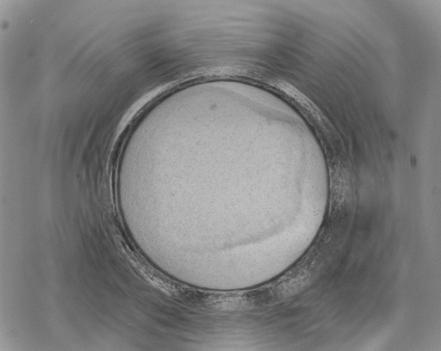 X0000078230886200611251211