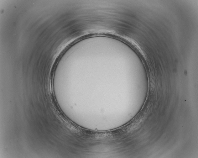 X0000078230887200611251211