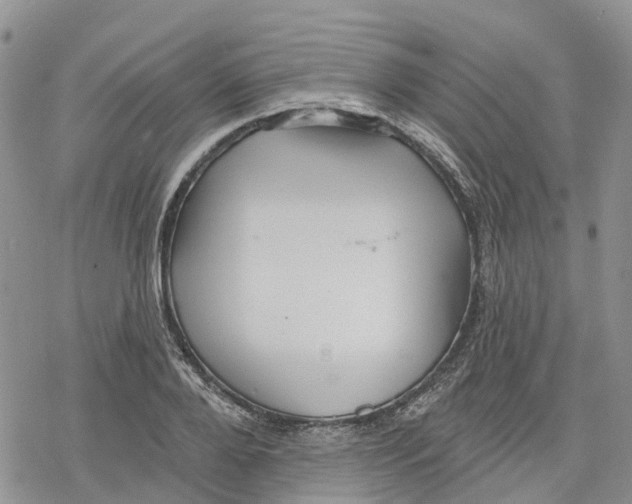 X0000078230888200611251211