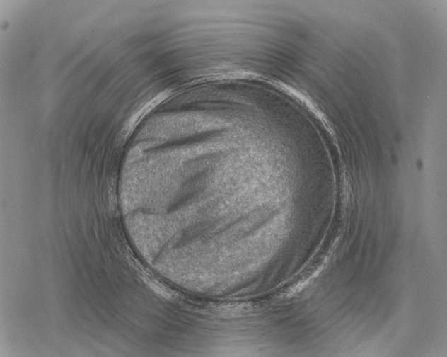 X0000078230889200611251211