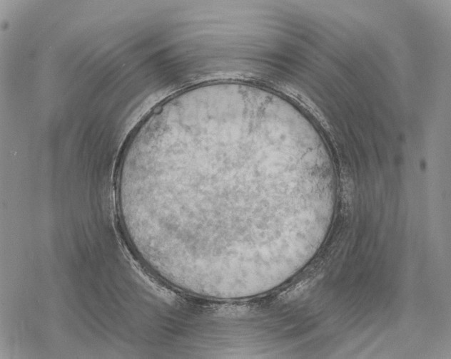 X0000078230890200611251211