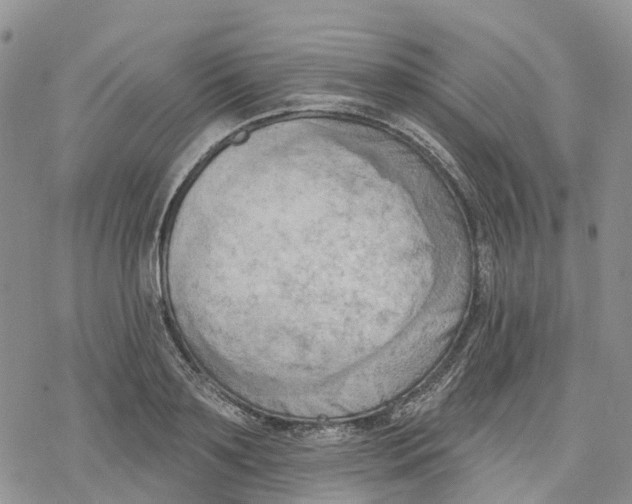 X0000078230891200611251211