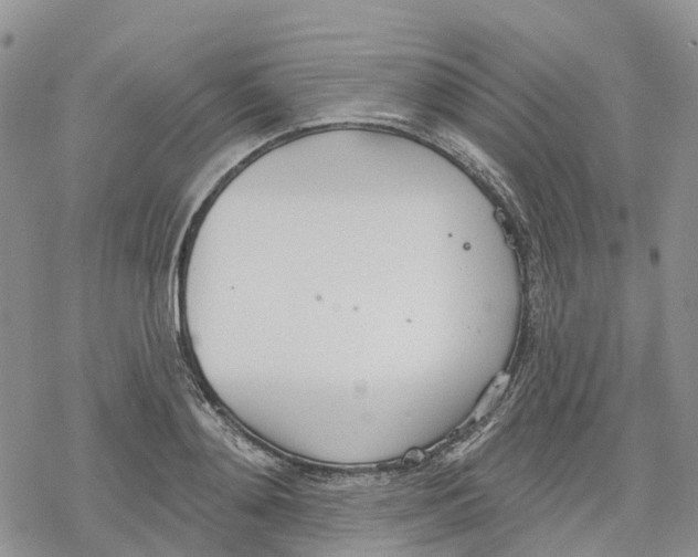 X0000078230892200611251211