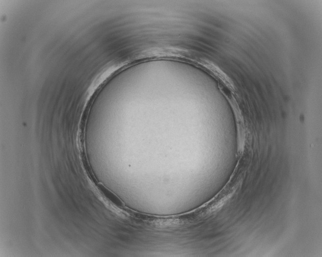 X0000078230893200611251211