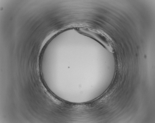 X0000078230894200611251211