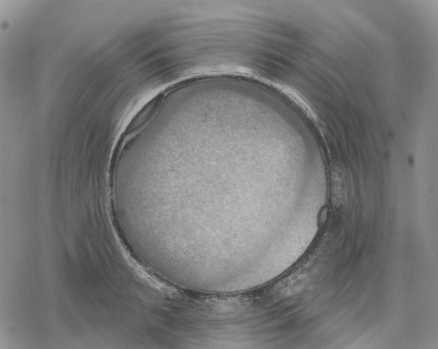 X0000078230895200611251211