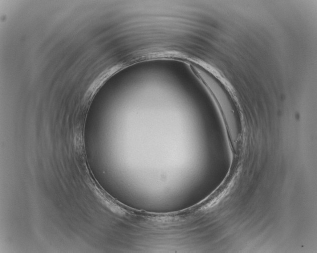 X0000078230897200611251211