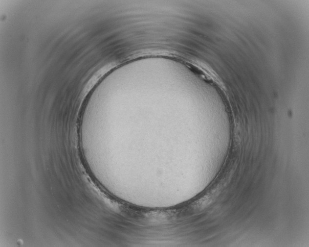 X0000078230898200611251211