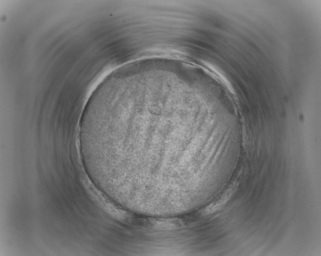 X0000078230899200611251211