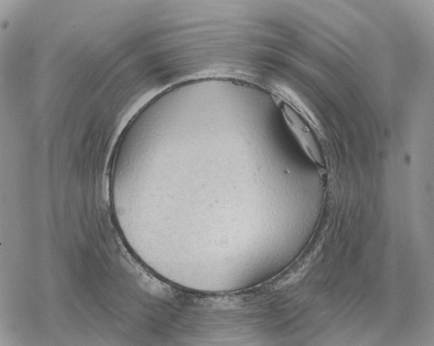 X0000078230900200611251211