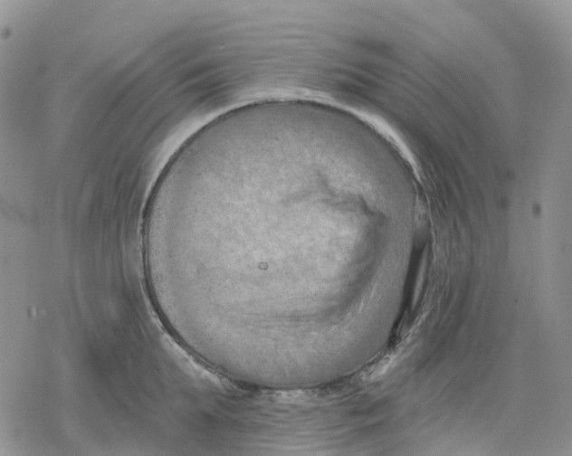 X0000078230903200611251211