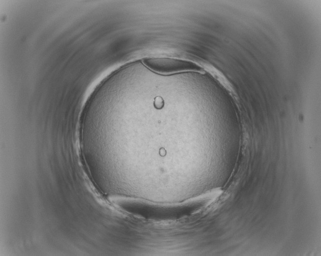 X0000078230904200611251211