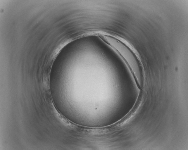 X0000078230905200611251211