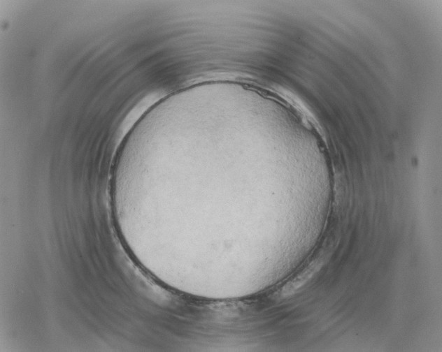 X0000078230906200611251211