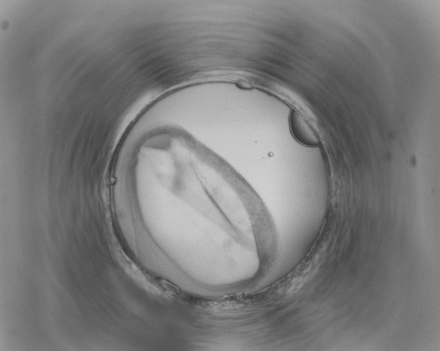 X0000078230907200611251211