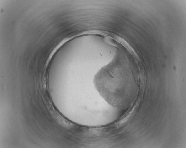 X0000078230908200611251211