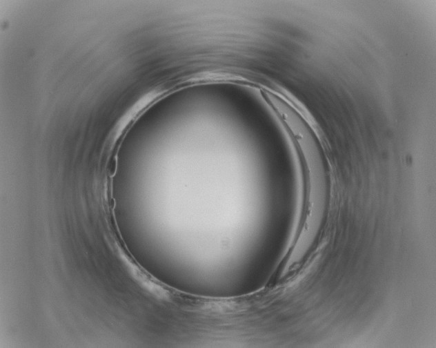 X0000078230909200611251211