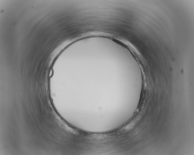 X0000078230910200611251211