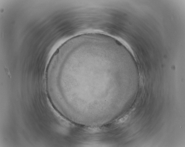 X0000078230911200611251211