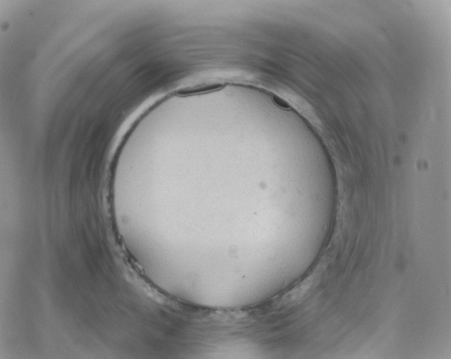 X0000078230912200611251211