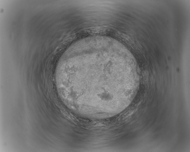 X0000078230913200611251210