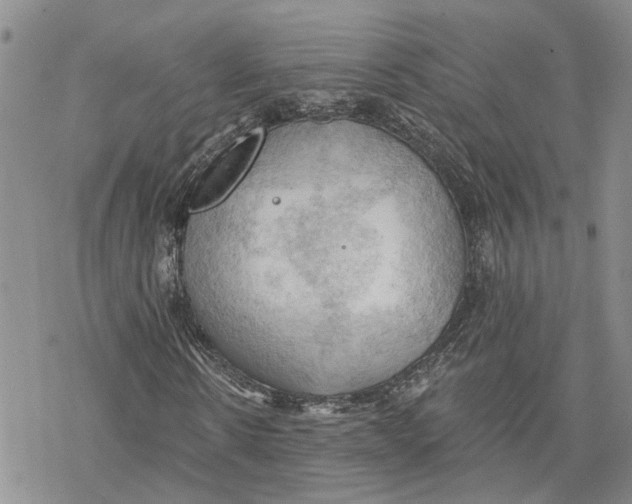 X0000078230914200611251210