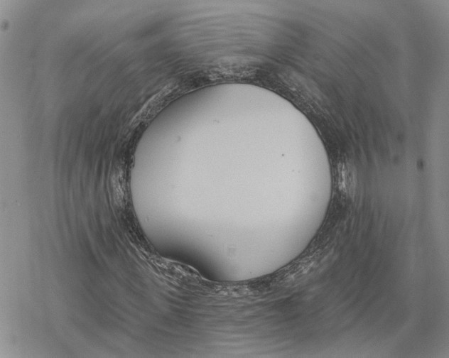 X0000078230915200611251210