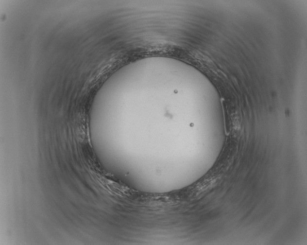 X0000078230916200611251210