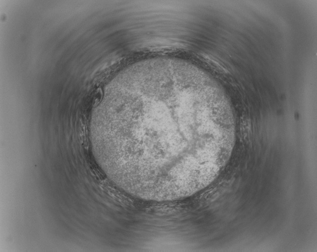 X0000078230917200611251210