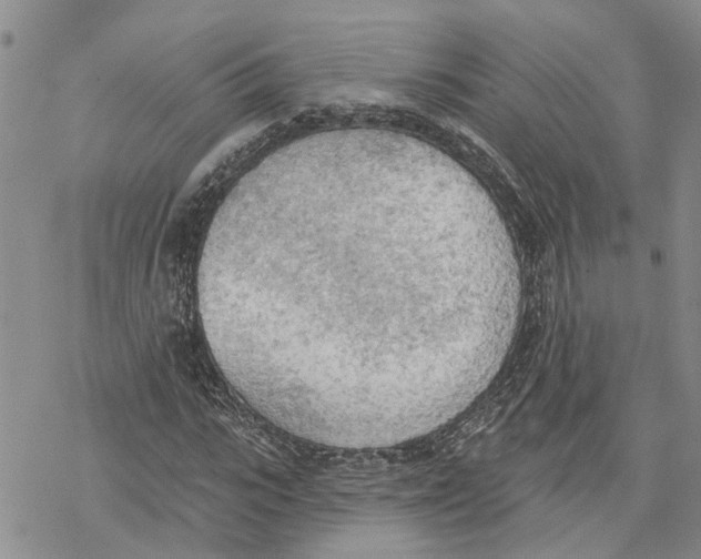 X0000078230919200611251210