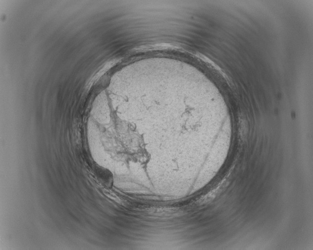 X0000078230921200611251210