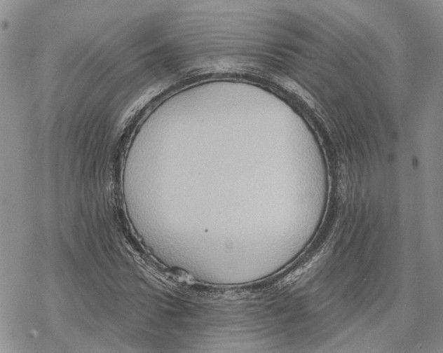 X0000078230922200611251210