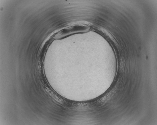 X0000078230923200611251210