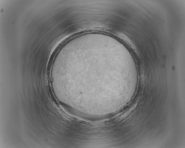 X0000078230924200611251210