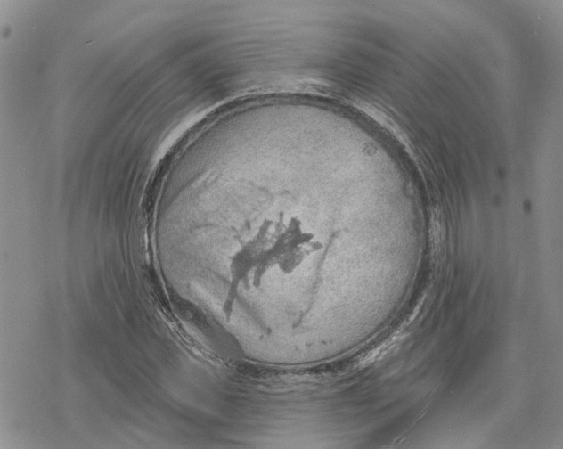 X0000078230925200611251210