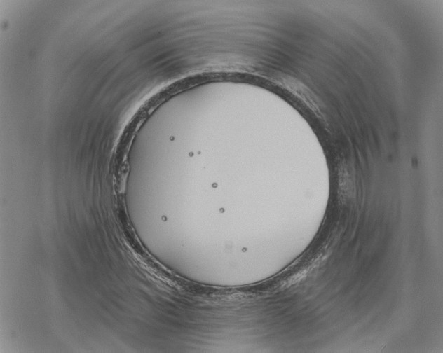 X0000078230926200611251210