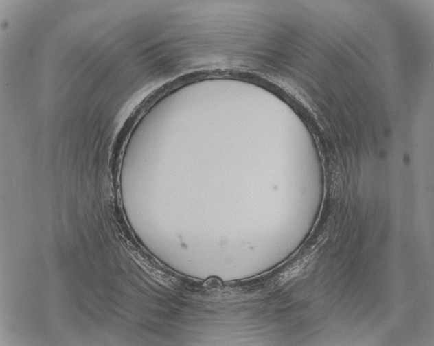 X0000078230927200611251210