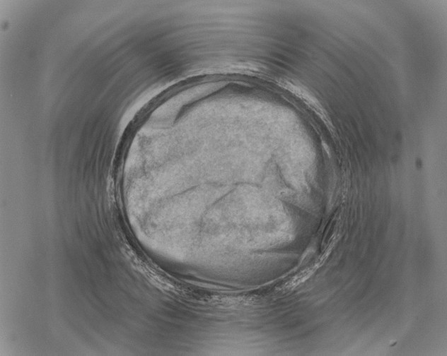 X0000078230928200611251210