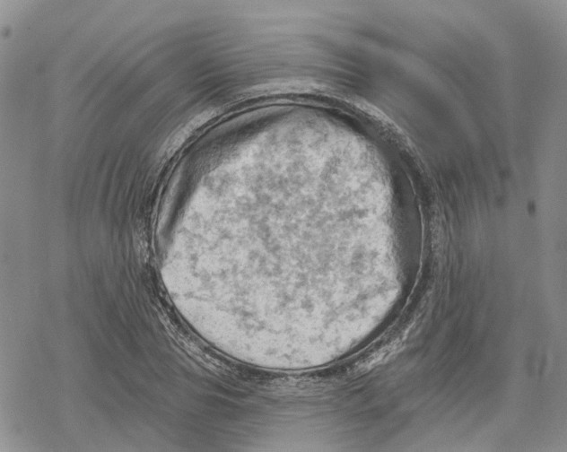 X0000078230929200611251210