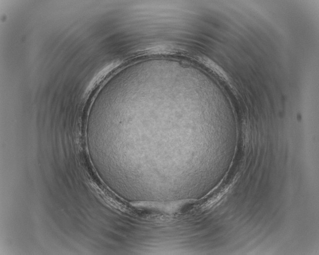 X0000078230930200611251210