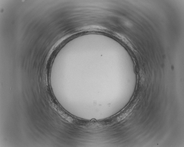 X0000078230931200611251210