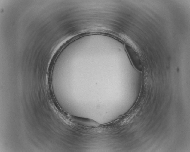 X0000078230932200611251210