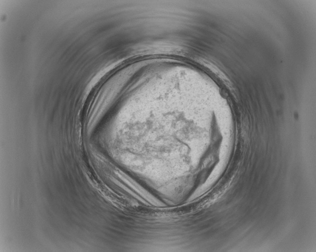 X0000078230933200611251210