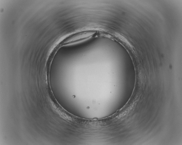 X0000078230934200611251210